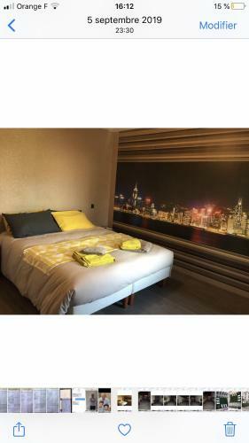 Logement Haut de Gamme Jacuzzi Sauna