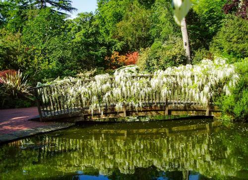 Pinetum Gardens Retreats