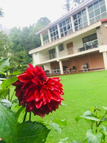 H.m.h Lodges & Hotel Resort