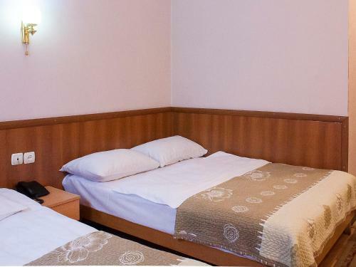 Hotel Skib
