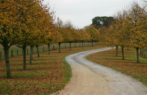 Agroturismo Jerpoint Park