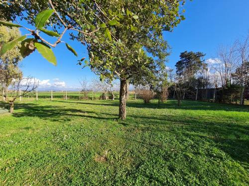 Bed & Breakfast Guesthouse L'acquarello