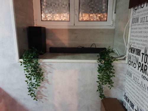 Apartamento Consultar Disponibilidad
