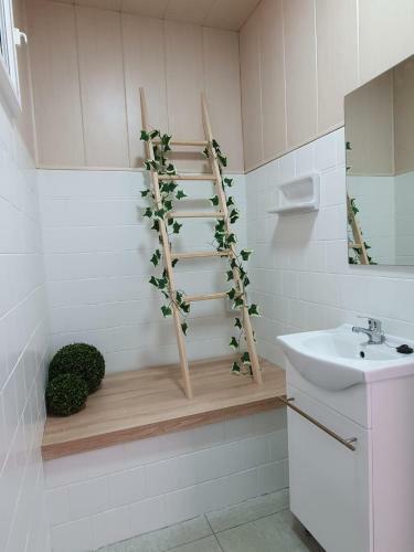 Apartamento Ni�o Do Corvo Casa Moa�a Cangas