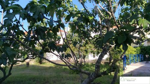 Apartamento Casa D'av� (R/c)