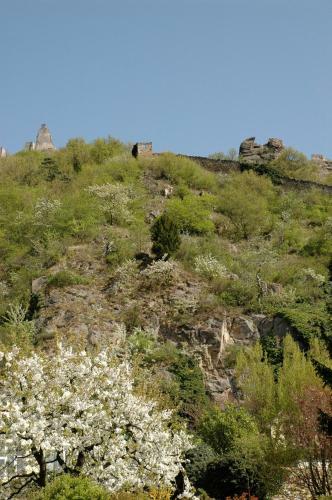Ad Vineas G�stehaus Nikolaihof-hotel Garni