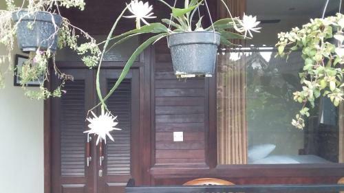 Hostal Suweta46 House