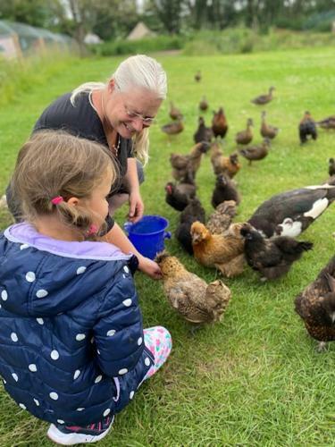 The Moat Lake Glamping Pod