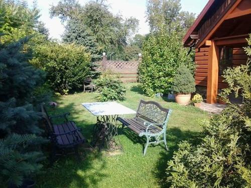 Bed & Breakfast Agroturystyka W Ogrodach