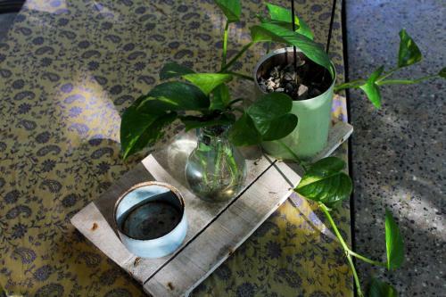 Apartamento Blue Sophy Residency