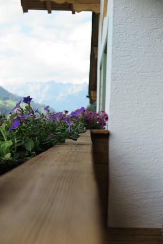 Apartamentos Haus Enzian