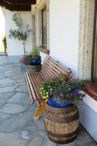 Apartamentos Haus Enzian