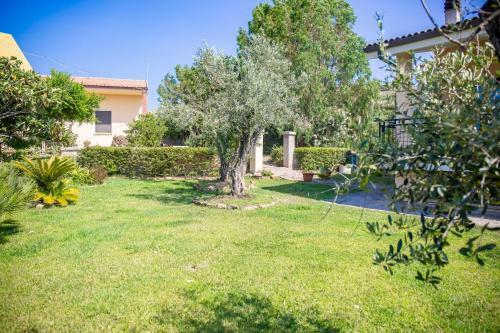 Bed & Breakfast Il Giardino Degli Ulivi