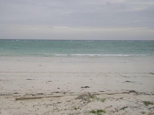 Apartamento Tirrenia Belvedere