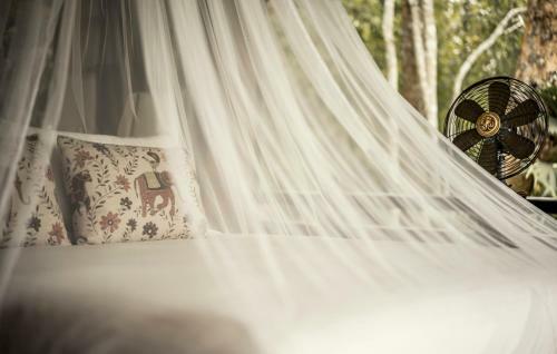 Hotel Four Seasons Tented Camp Golden Triangle
