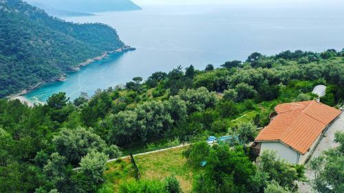 Villa Alemdaro?lu Secret Garden