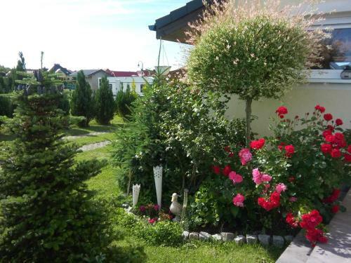 Hostal Villa Honoratka
