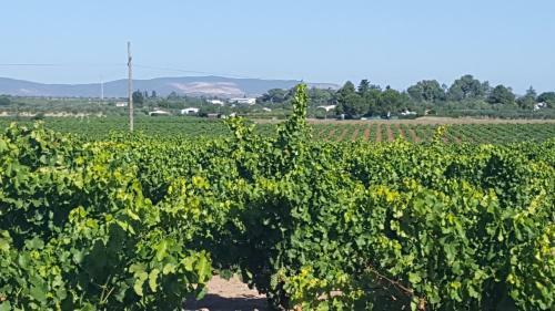 Agroturismo Ba�os Del Raposo