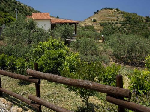 Apartamento La Collina Degli Ulivi