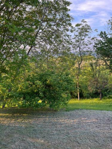 Casa Singola Immersa Nel Verde