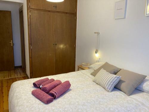 Apartament Cal Ponent A Alp, Wi-fi I Parquing