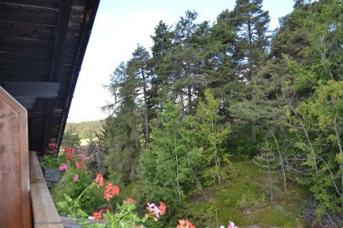 Hotel Gasthof Zum Gr�nen Baum