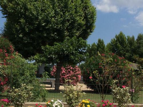 Bed & Breakfast La Bergerie de Castellan