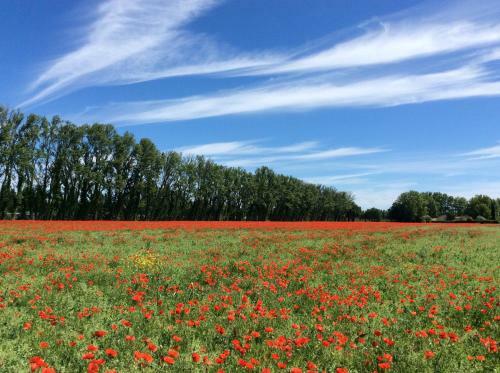 Bed & Breakfast La Bergerie de Castellan