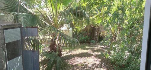 Apartamento El Paraiso de Carmen de Areco