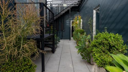 Apartamento The Midnight Loft By Bobou Design (King Suite)