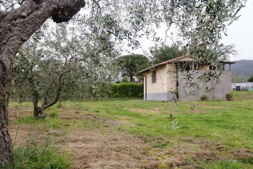 Villetta Sotto Castagno