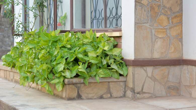 Kili-konka Holiday Villa