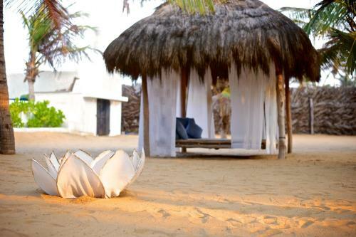 Hotel Dolphin Beach