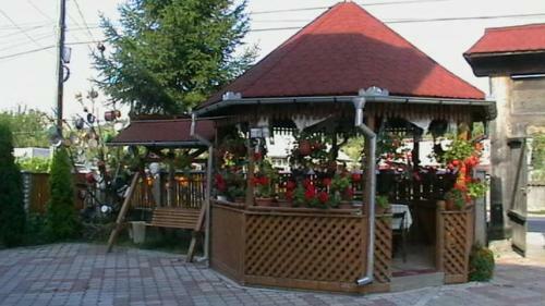 Hostal Pensiunea Georgiana