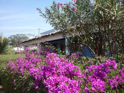 Bed & Breakfast La Tortue Bleue