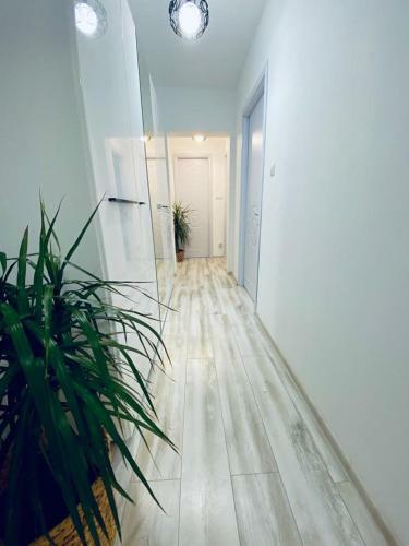 2 Rooms Apartment Airy & Bright Palas Center