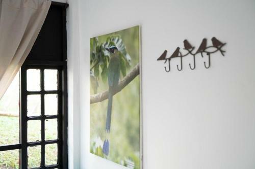 Hotel La Campi�a Alemana