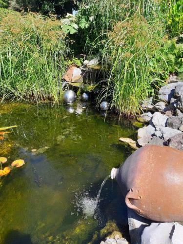 Villa Bon Moment D�tente