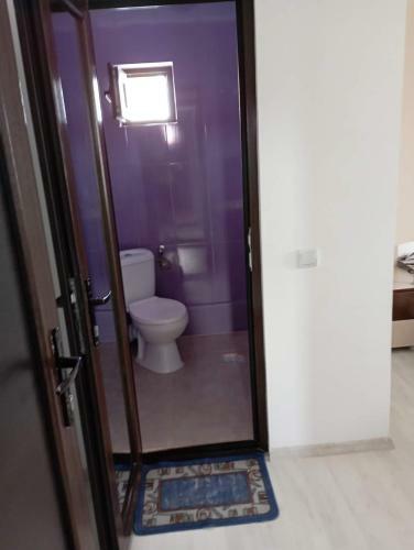 Hostal Casa Galbena de Vacan?? Navodari