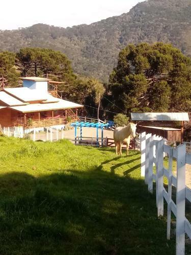 Agroturismo Pousada Caf� Na Montanha