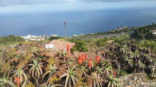 Finca Lomo de Castillo - Kleines Schl�sschen Am Berg