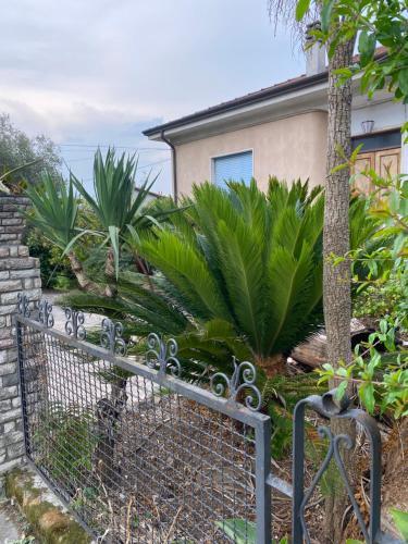 Apartamento Il Giardino Delle Cycas