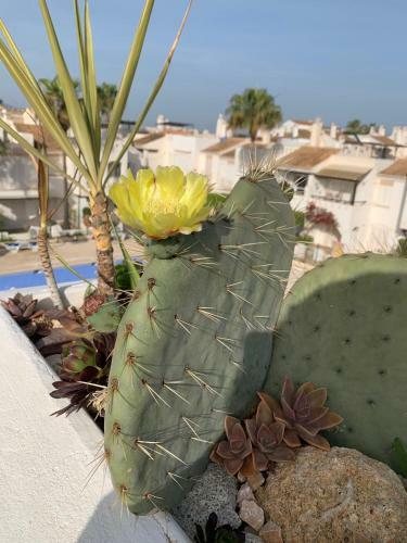 Apartamento Vera Playa La Medina