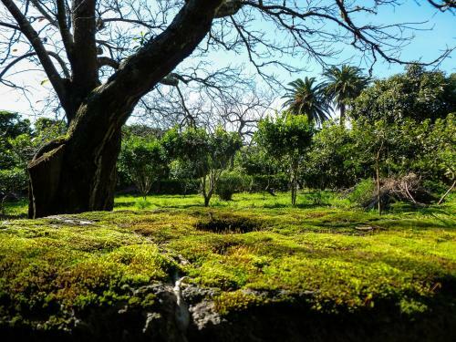 Agroturismo Quinta Do Esp�rito Santo