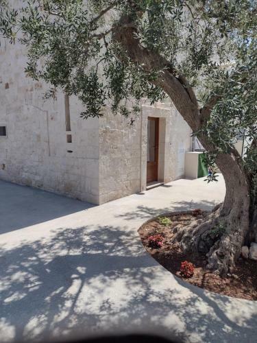 Agroturismo La Casa Di Pietra