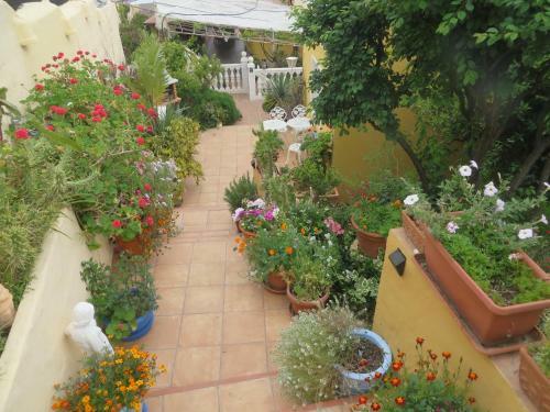 Apartamento Gartenapartment Finca Cortez