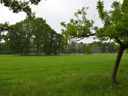 Cosy Holiday Home In Guelders Near The Forest