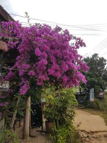 Hostal Lattanavongsa Guesthouse