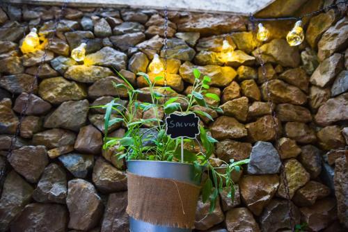 Apartamento Casa Particular -smart,hosting,experience-