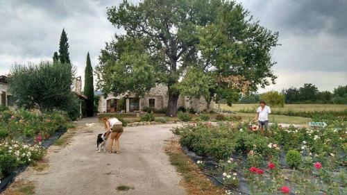 Hostal Roseraie De Chateaubois